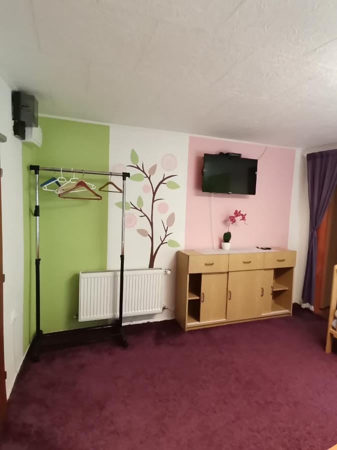 Apartman Ve Mlejne Нова-Быстршице Экстерьер фото
