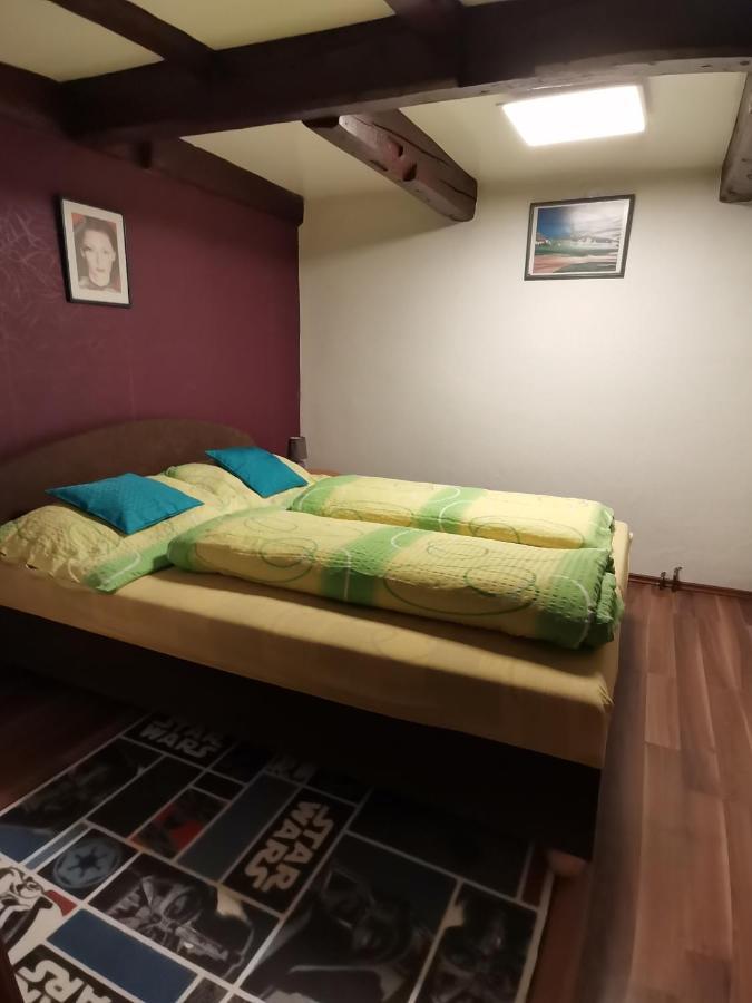 Apartman Ve Mlejne Нова-Быстршице Экстерьер фото